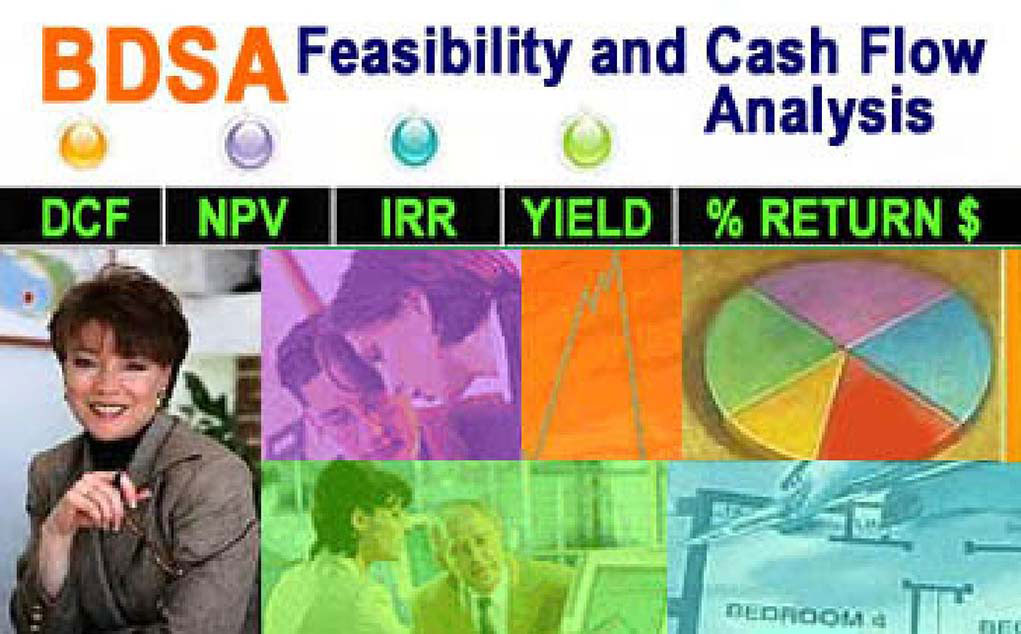 BDSA Project Feasibility and Cash Flow